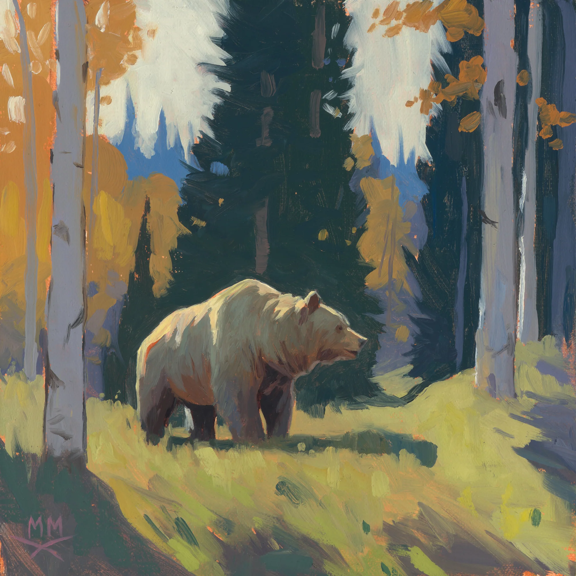 Bear